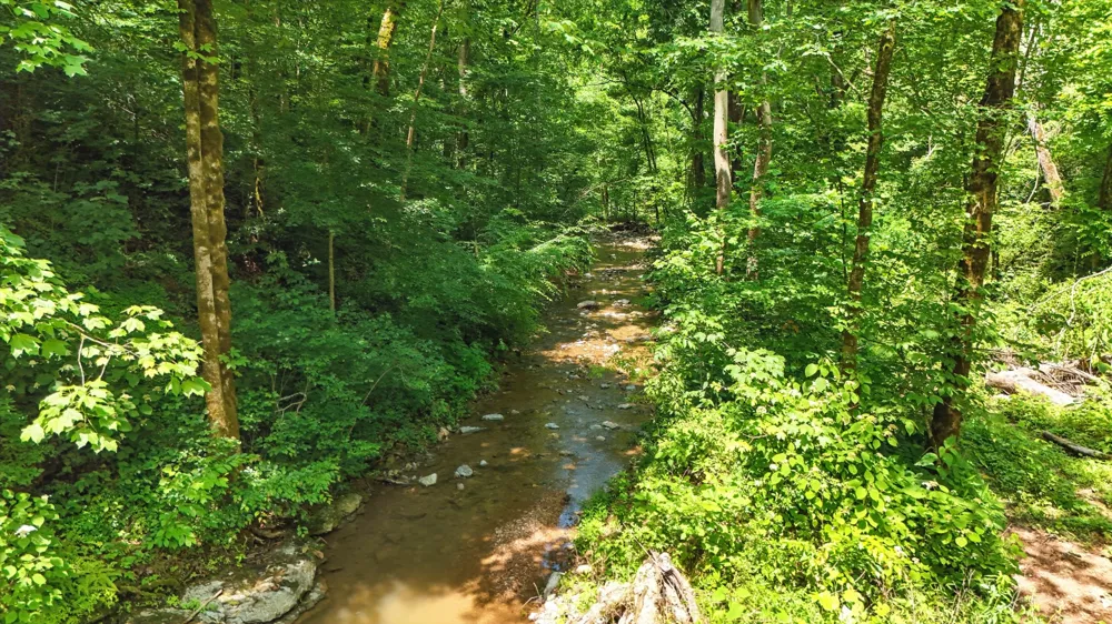 4006 Stones River Rd Woodbury, TN 37190