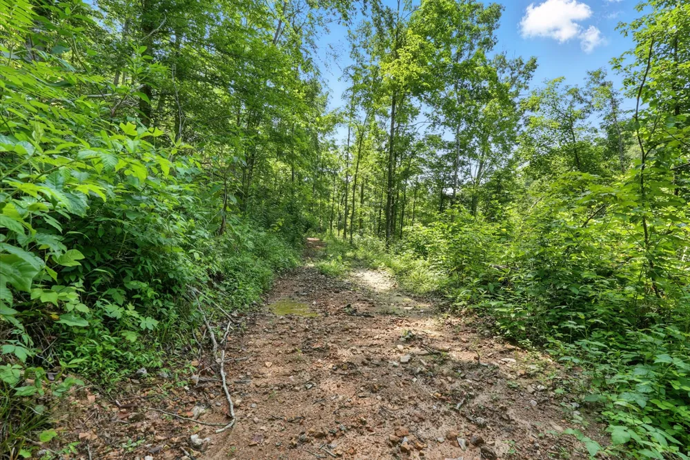 4006 Stones River Rd Woodbury, TN 37190