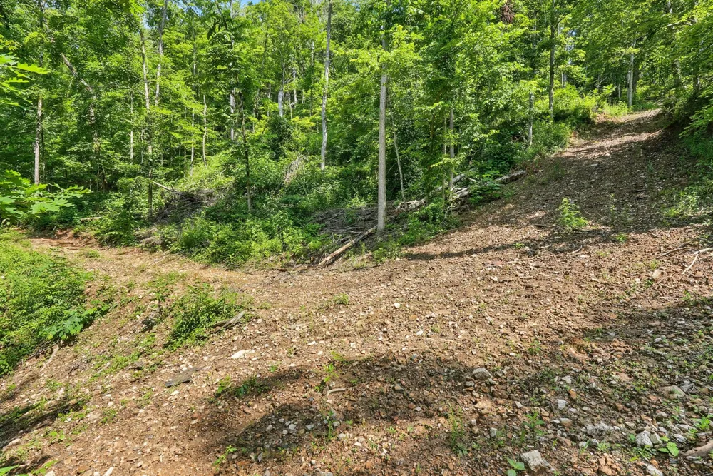 4006 Stones River Rd Woodbury, TN 37190