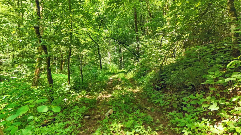4006 Stones River Rd Woodbury, TN 37190