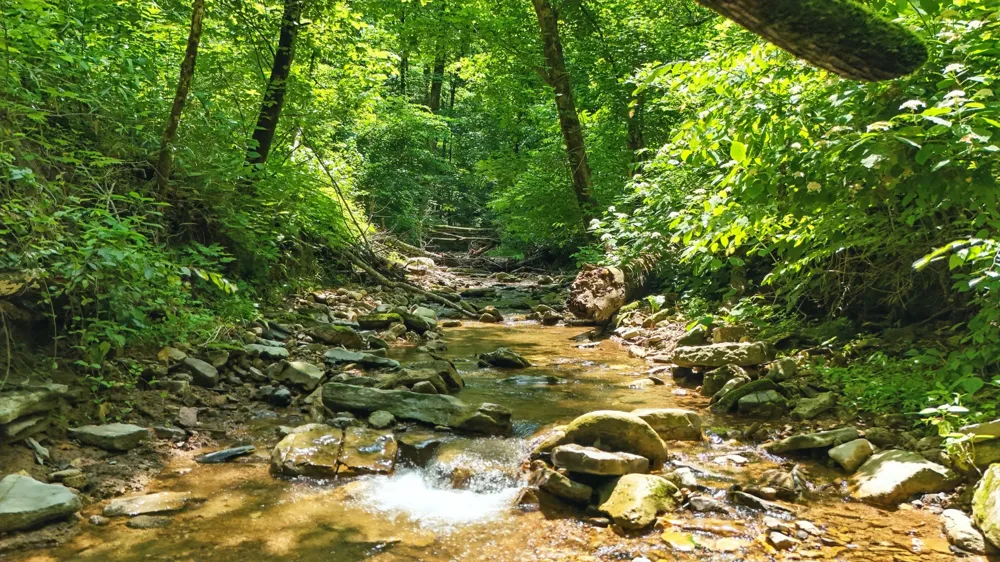 4006 Stones River Rd Woodbury, TN 37190