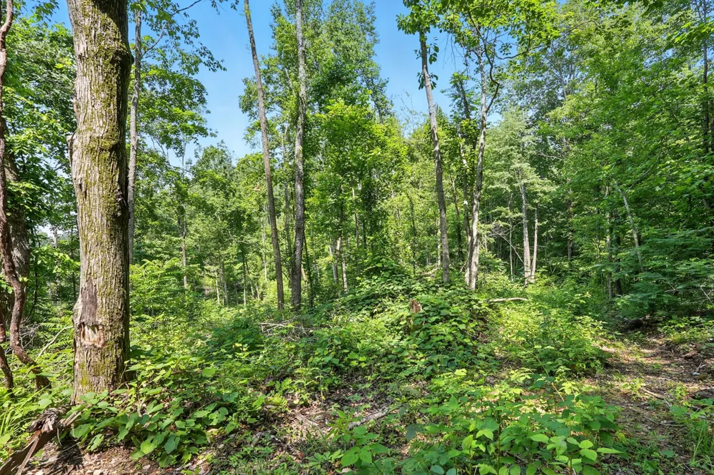 4006 Stones River Rd Woodbury, TN 37190