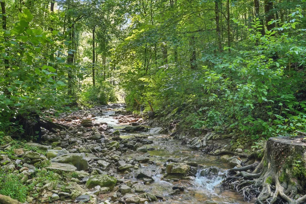 4006 Stones River Rd Woodbury, TN 37190
