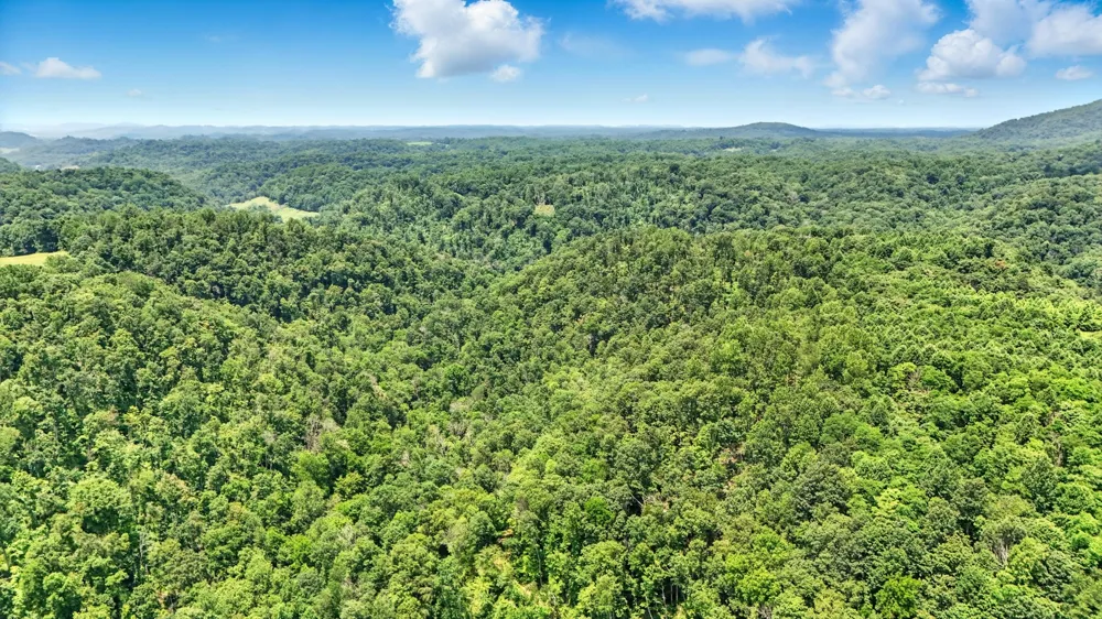 4006 Stones River Rd Woodbury, TN 37190