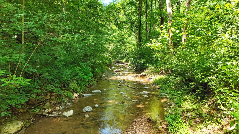 4006 Stones River Rd Woodbury, TN 37190