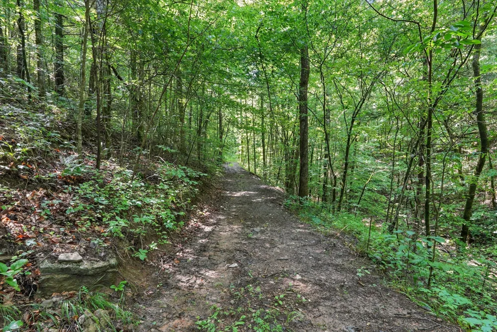 4006 Stones River Rd Woodbury, TN 37190