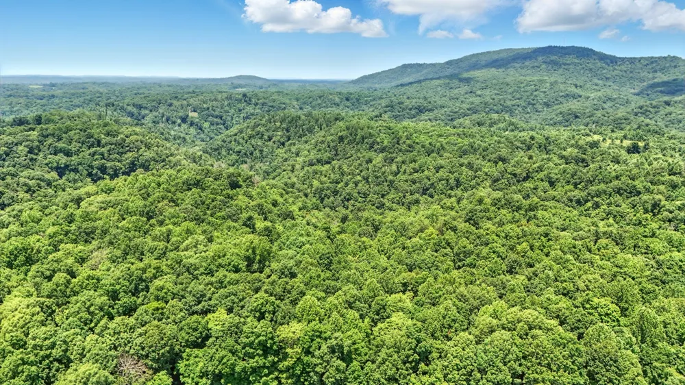 4006 Stones River Rd Woodbury, TN 37190