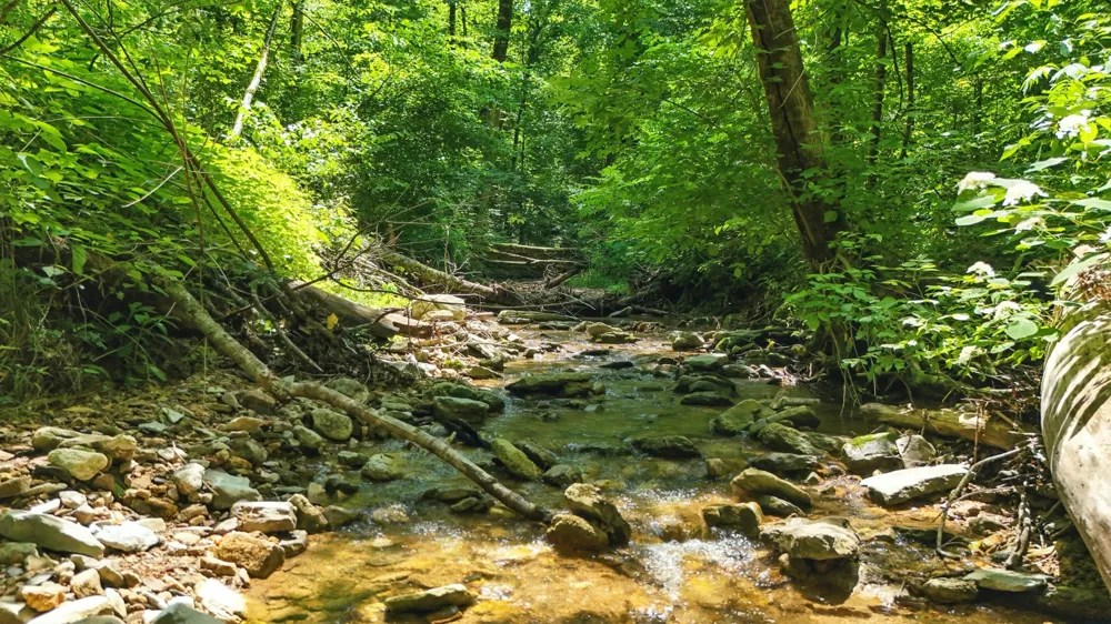 4006 Stones River Rd Woodbury, TN 37190