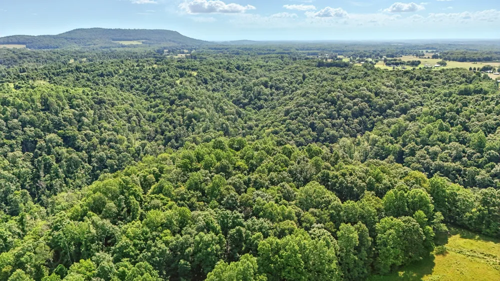 4006 Stones River Rd Woodbury, TN 37190
