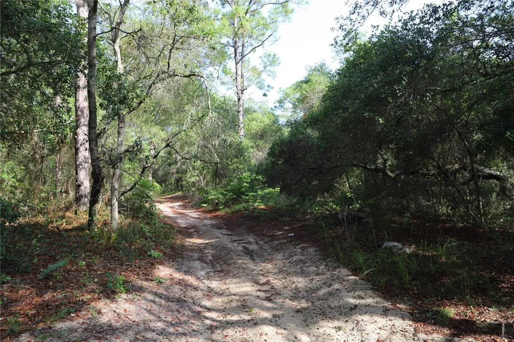 00 STATE ROAD 100 Keystone Heights, FL 32656