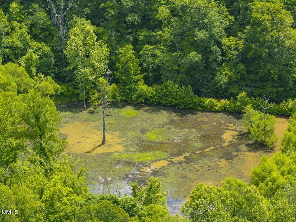 390 Line Creek Farm Road Yanceyville, NC 27379