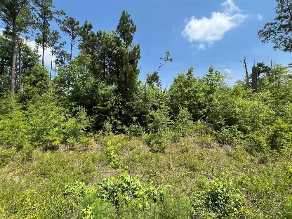 TBD GRAND QUIVIERA CIRCLE Alford, FL 32420