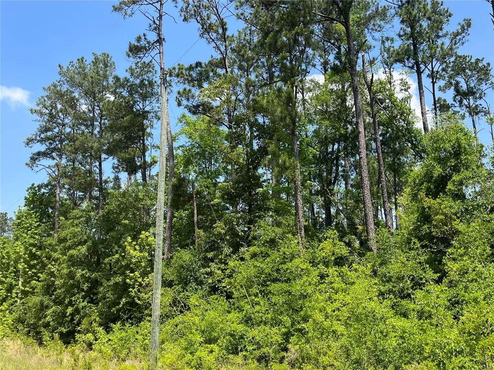 TBD GRAND QUIVIERA CIRCLE Alford, FL 32420