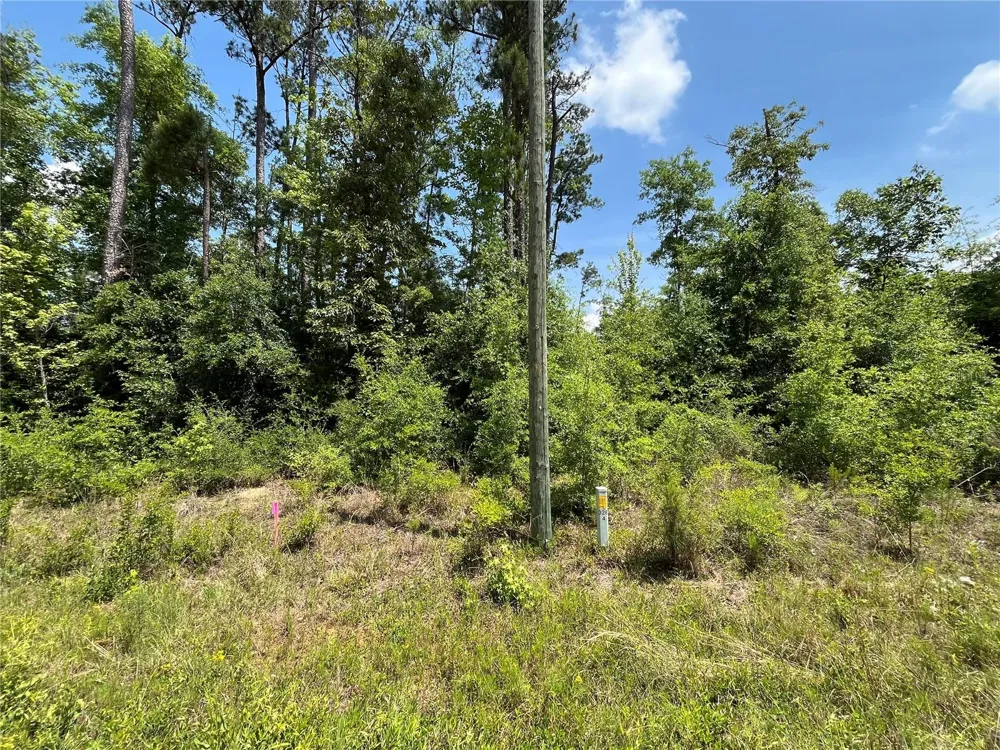TBD GRAND QUIVIERA CIRCLE Alford, FL 32420