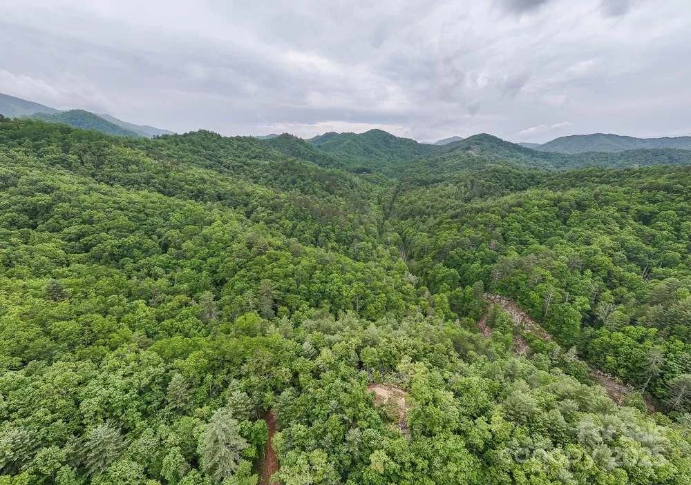 399 Shell Stand Road Almond, NC 28702
