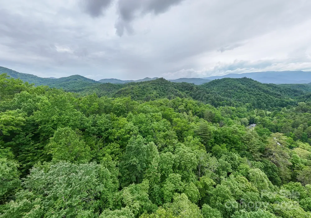 399 Shell Stand Road Almond, NC 28702