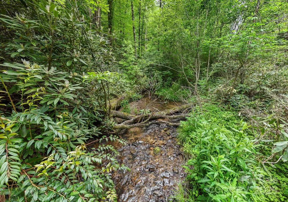 399 Shell Stand Road Almond, NC 28702