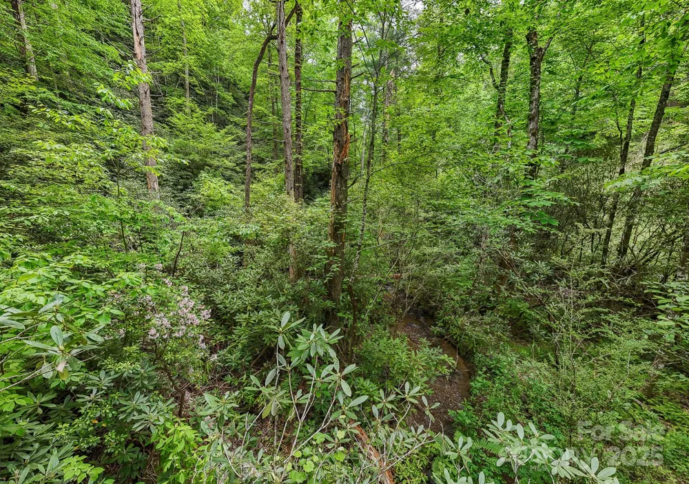 399 Shell Stand Road Almond, NC 28702