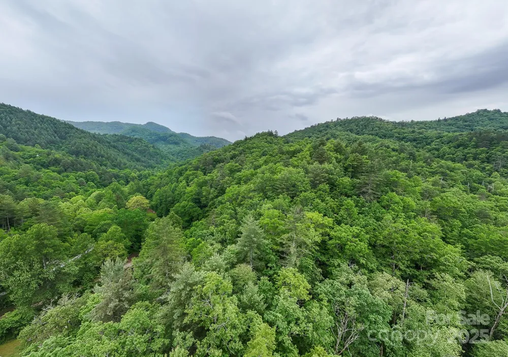 399 Shell Stand Road Almond, NC 28702