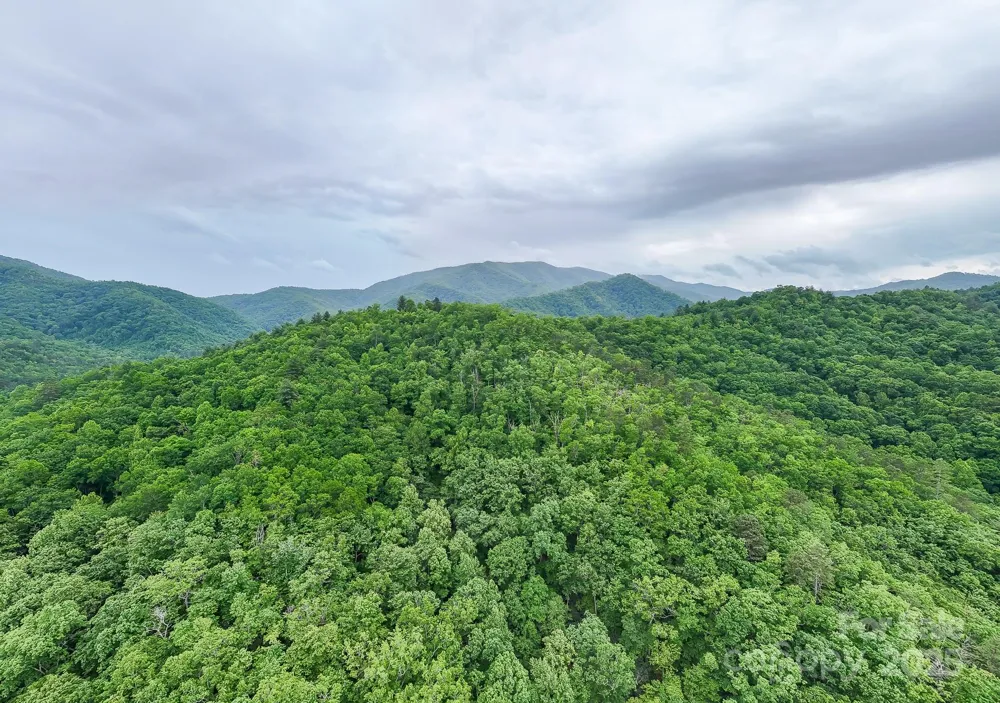 399 Shell Stand Road Almond, NC 28702