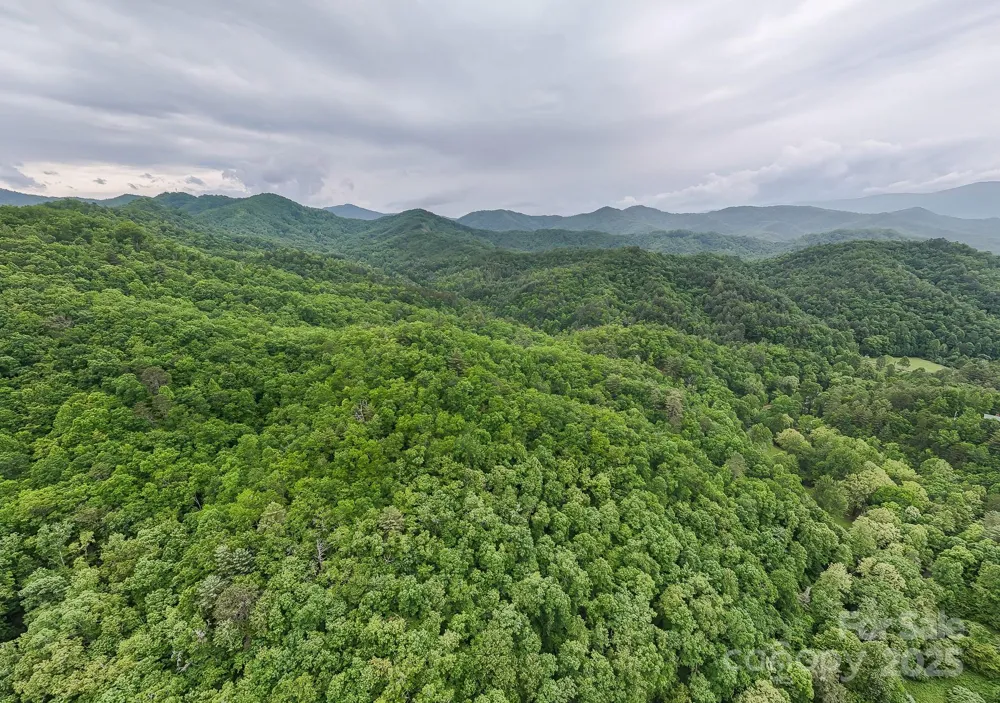 399 Shell Stand Road Almond, NC 28702