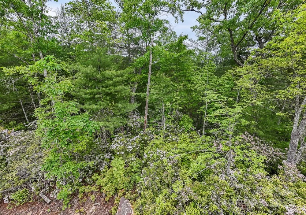 399 Shell Stand Road Almond, NC 28702
