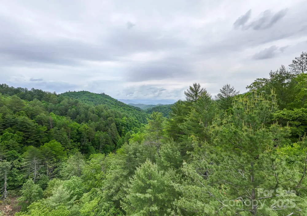 399 Shell Stand Road Almond, NC 28702
