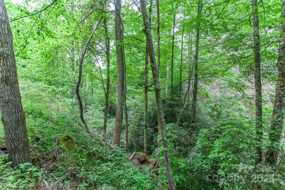 399 Shell Stand Road Almond, NC 28702