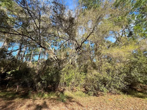 104 SE 5TH STREET
