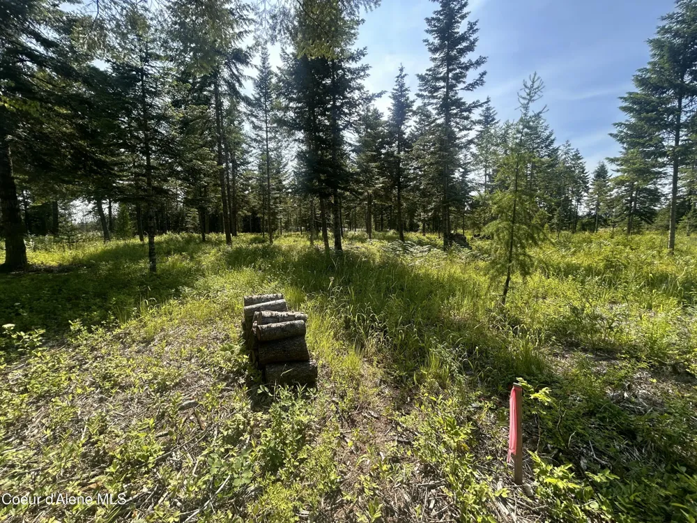 NKA Lekstrum Rathdrum, ID 83858
