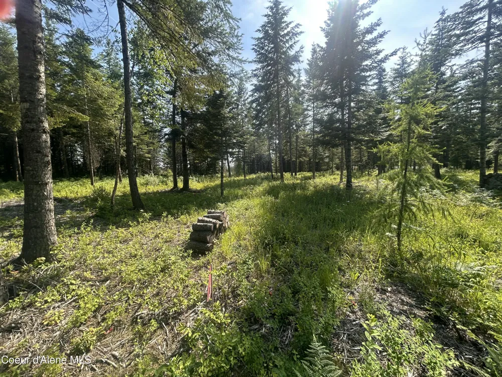 NKA Lekstrum Rathdrum, ID 83858