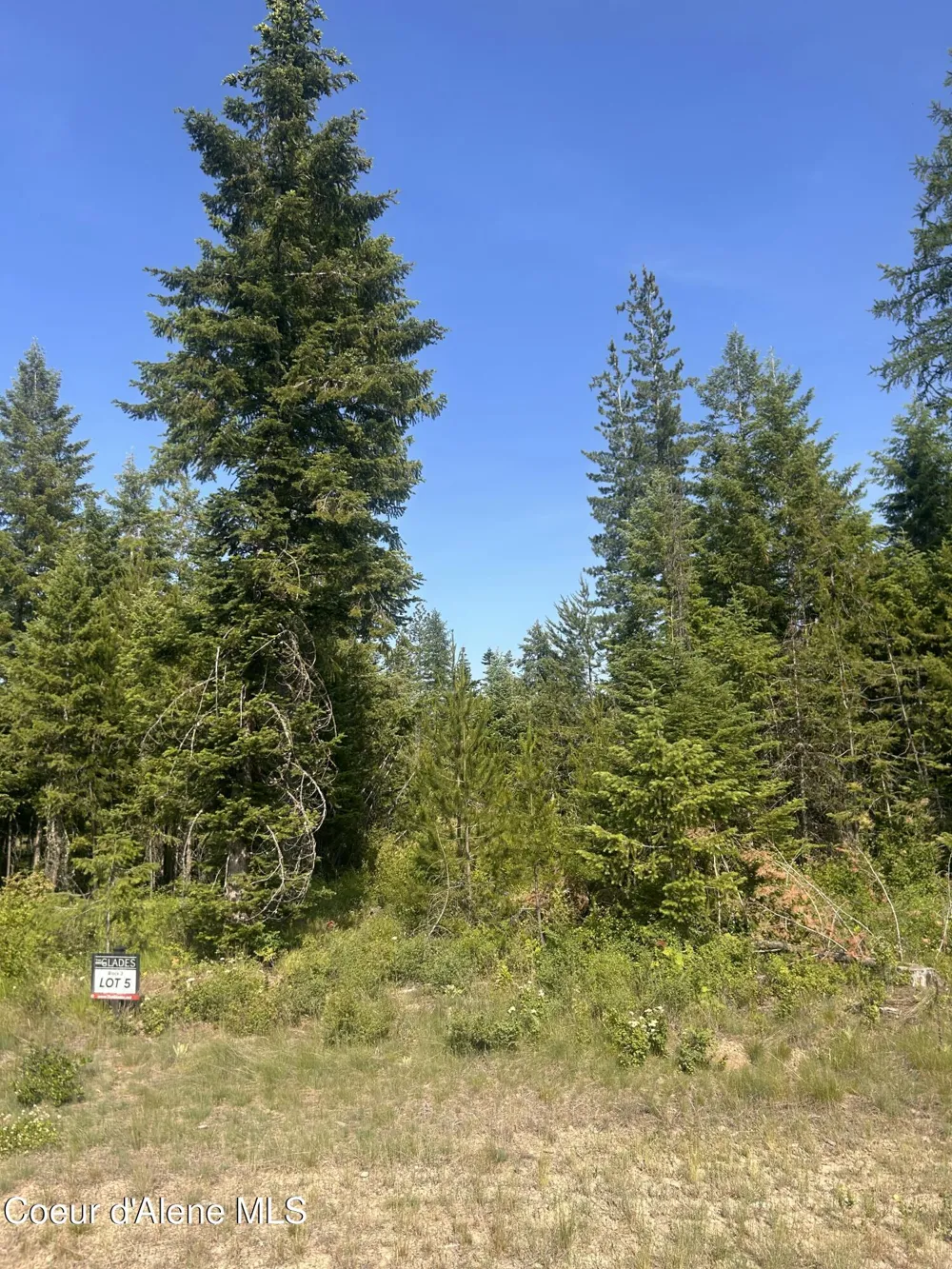 NKA Lekstrum Rathdrum, ID 83858