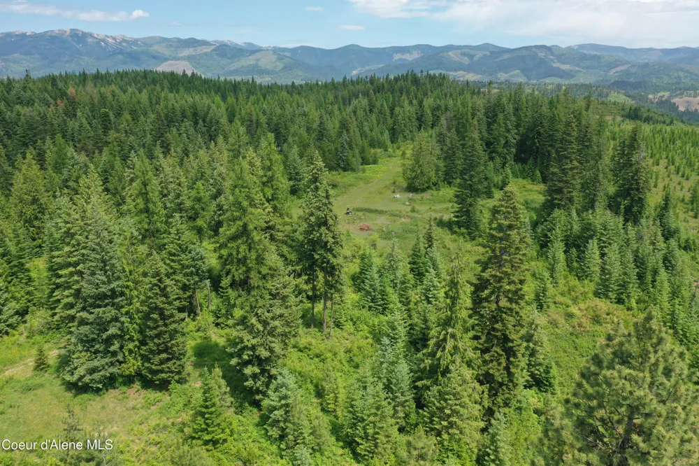 TBD No Address Per Seller Calder, ID 83808
