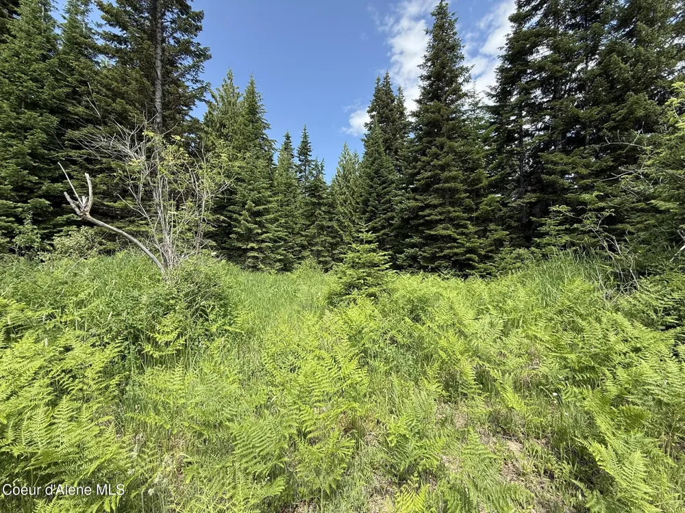 TBD No Address Per Seller Calder, ID 83808