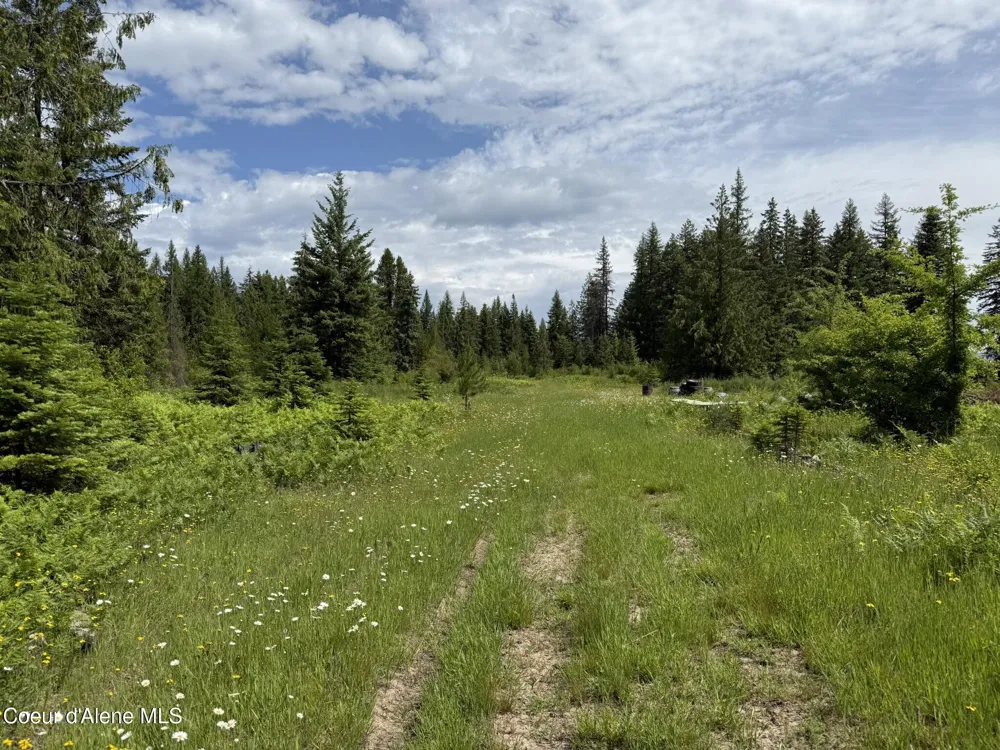 TBD No Address Per Seller Calder, ID 83808