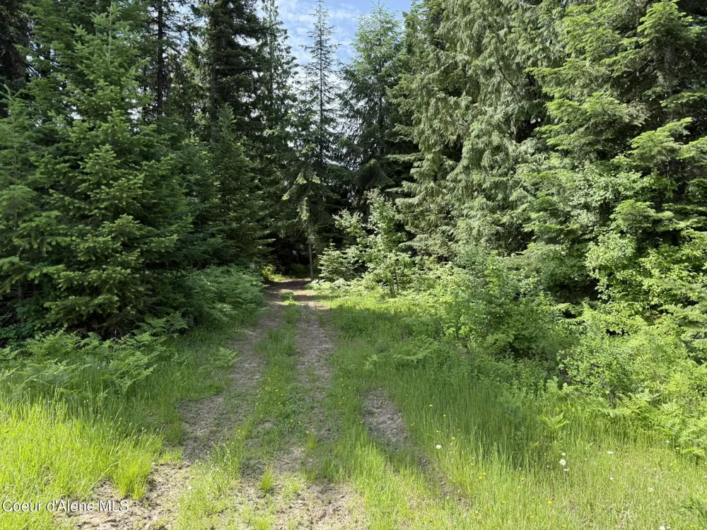 TBD No Address Per Seller Calder, ID 83808