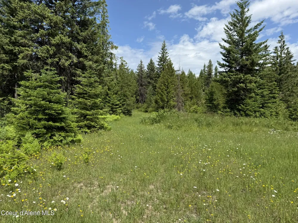 TBD No Address Per Seller Calder, ID 83808
