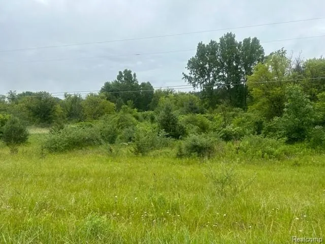 10 Lapeer Road Davison City, MI 48423
