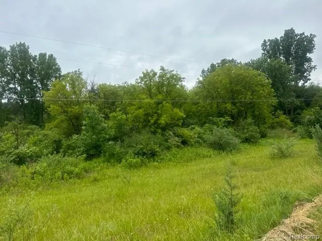 10 Lapeer Road Davison City, MI 48423