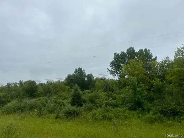10 Lapeer Road Davison City, MI 48423