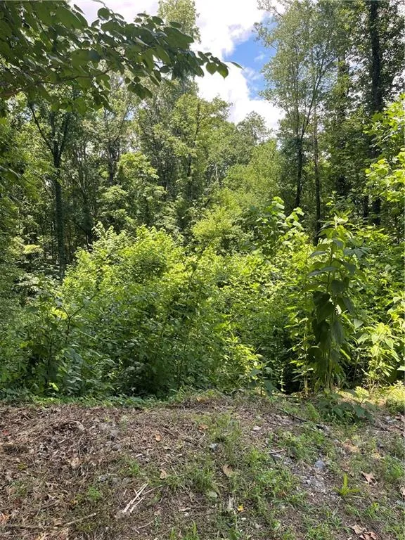 609 Ann Court Woodstock, GA 30188