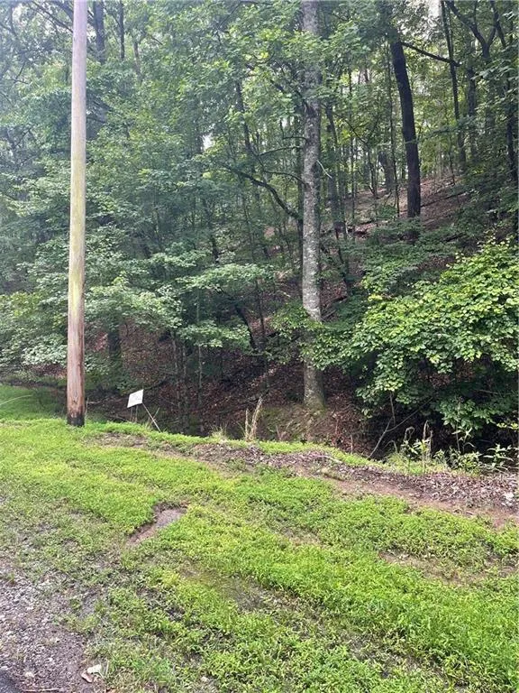 124 MORNING STAR DRIVE Waleska, GA 30183