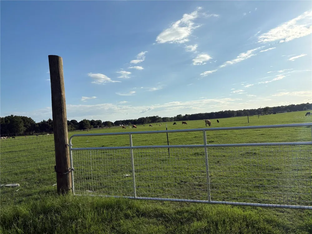 13994 COUNTY ROAD 209 Oxford, FL 34484