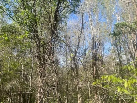 0 Bee Tree Road