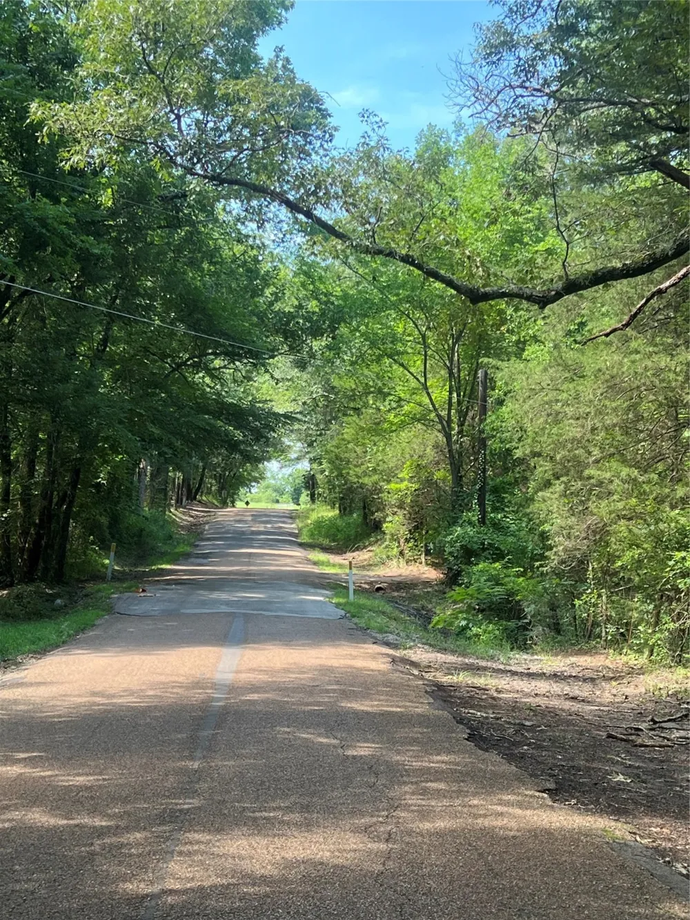 VZ 1913 Fruitvale, TX 75127