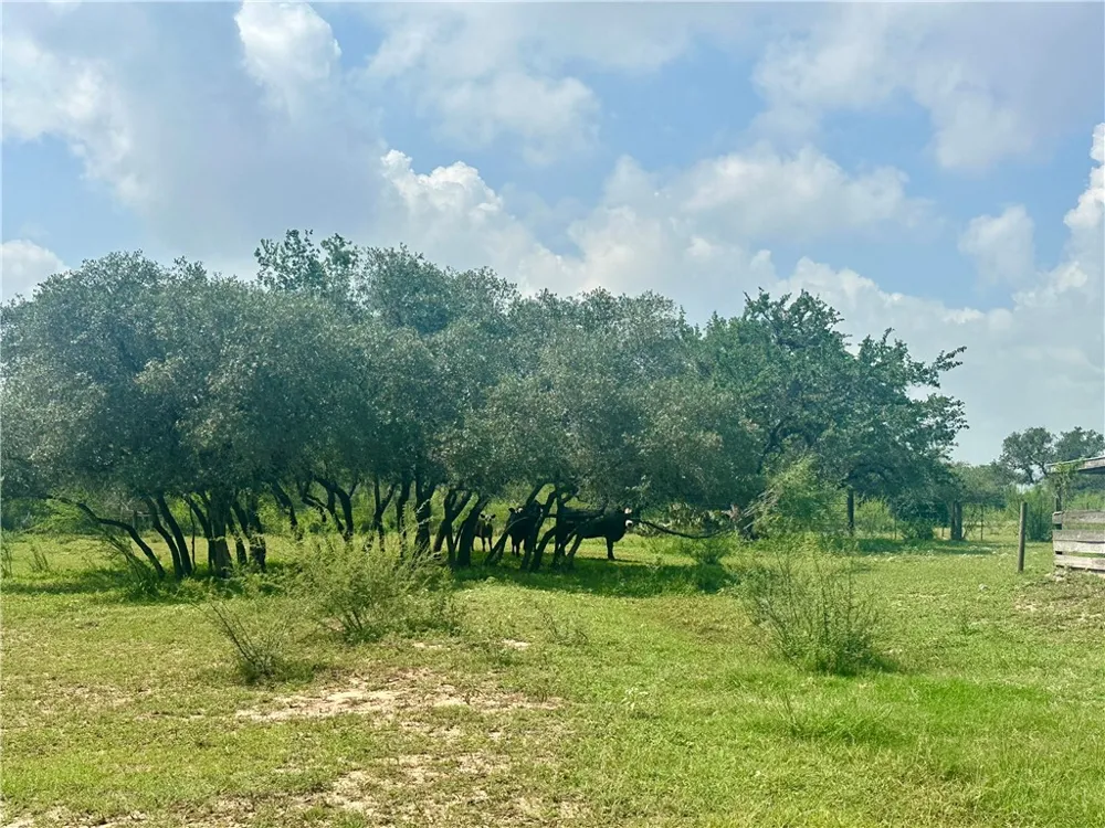 4345 Fm 799 Beeville, TX 78102