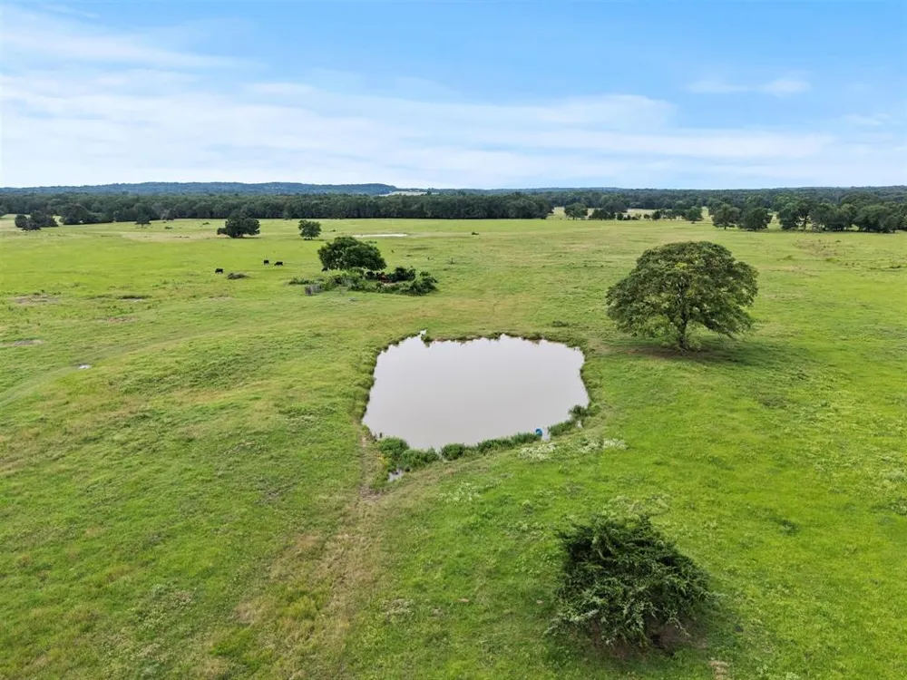 VZ CR 4607 ROAD Ben Wheeler, TX 75754