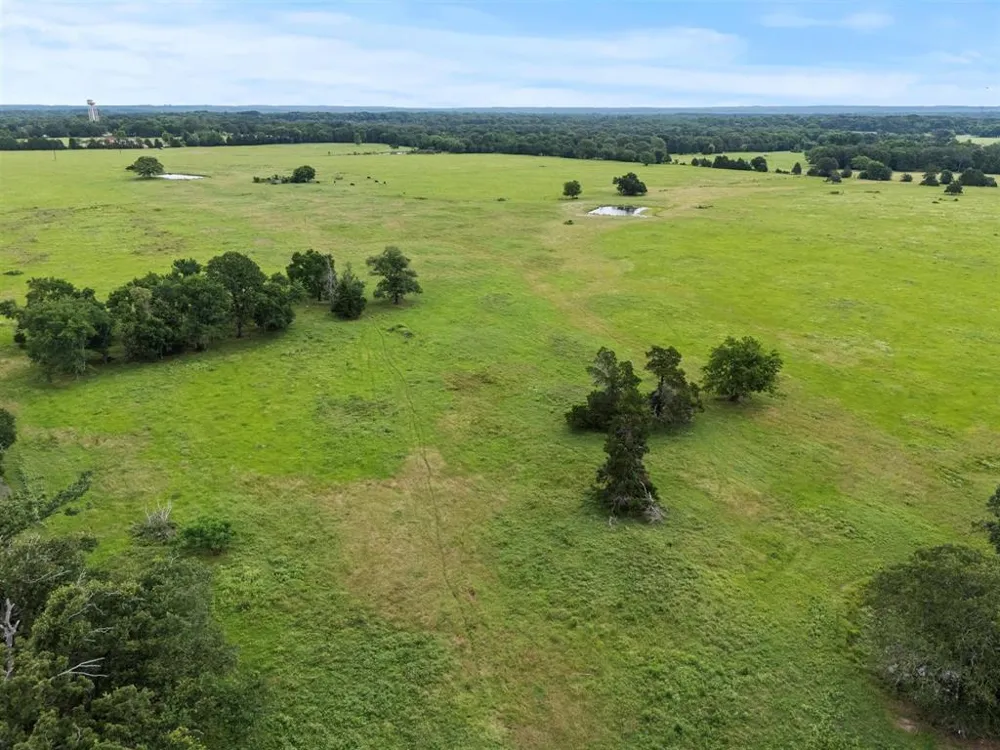 VZ CR 4607 ROAD Ben Wheeler, TX 75754