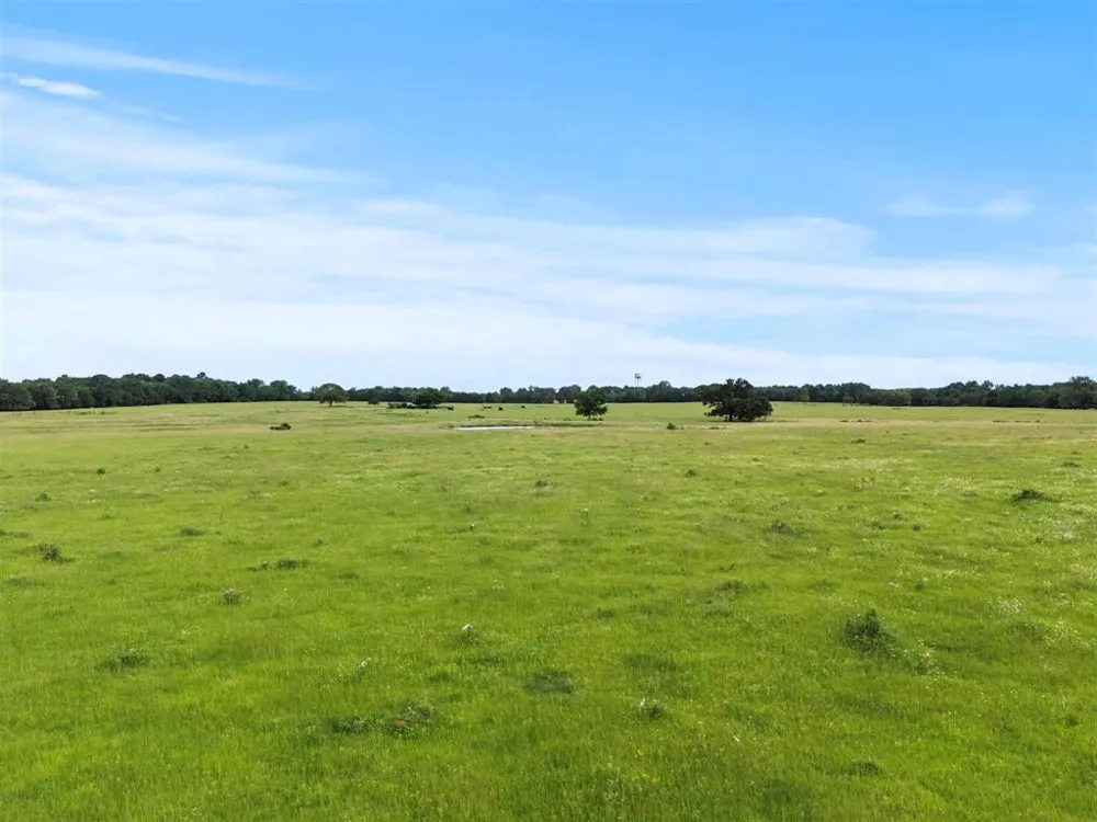 VZ CR 4607 ROAD Ben Wheeler, TX 75754