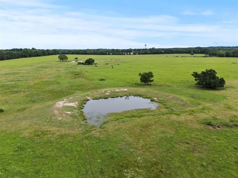 VZ CR 4607 ROAD Ben Wheeler, TX 75754